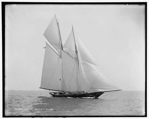Lasca