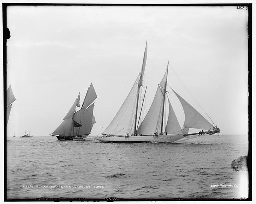 Alcaea and Lasca