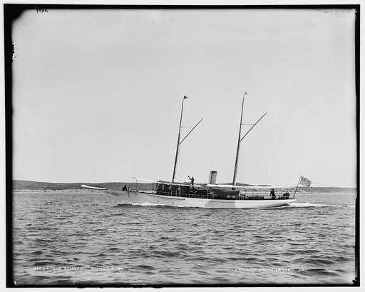 The Senator