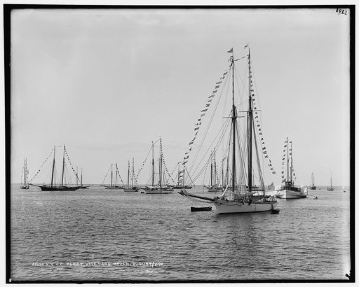 N.Y.Y.C. fleet, Vineyard Haven
