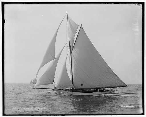 Harpoon