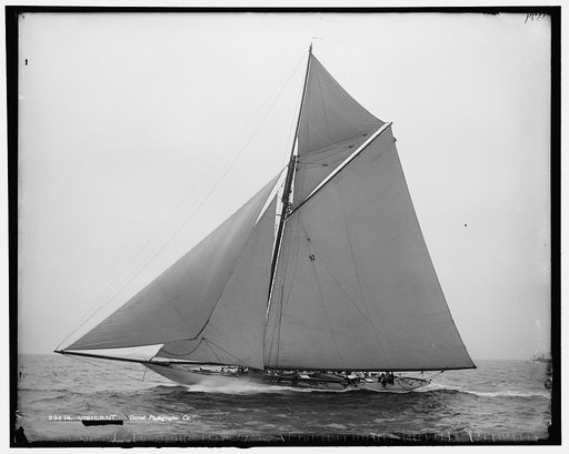 Vigilant