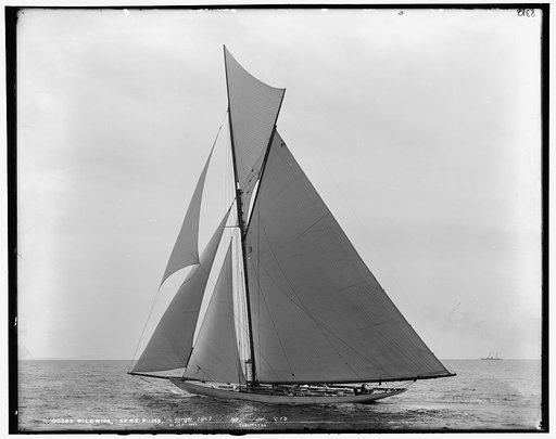 Pilgrim