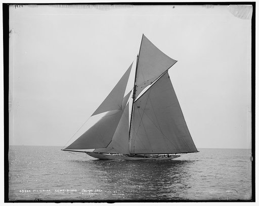 Pilgrim