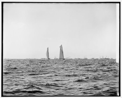 Columbia and Shamrock I, luffing into the excursion fleet