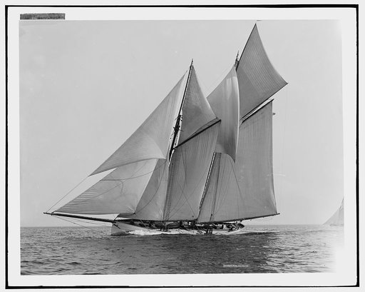 Mayflower