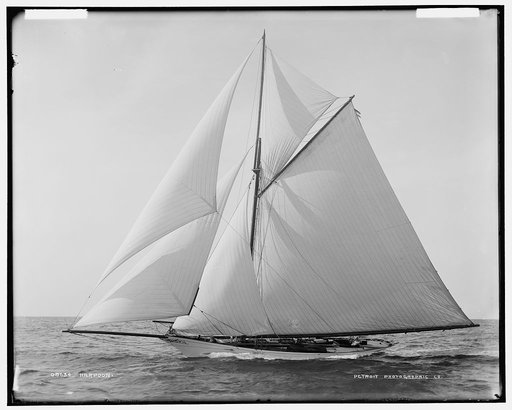 Harpoon