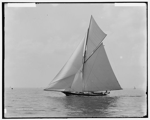 Nautilus