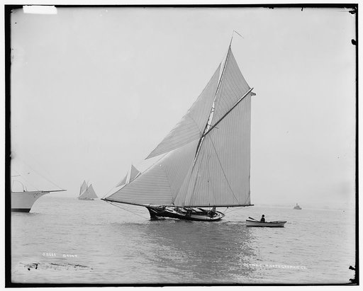 Saona