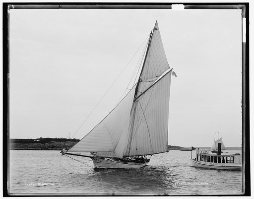 Rosalind