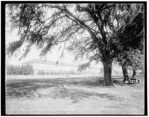 Horticultural hall, Audubon Park, New Orleans