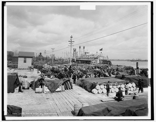 Levee, foot of Canal St., New Orleans
