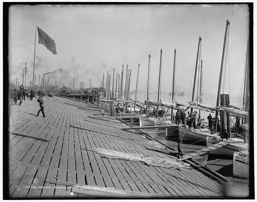 Oyster luggers at the levee, New Orleans