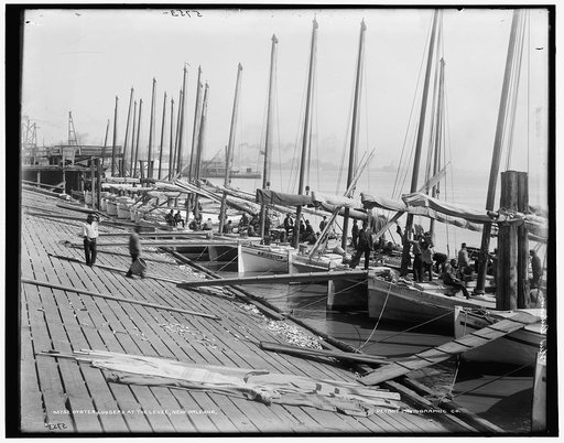 Oyster luggers at the levee, New Orleans