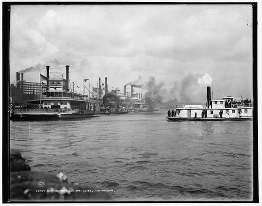 Steamboats along the levee, New Orleans
