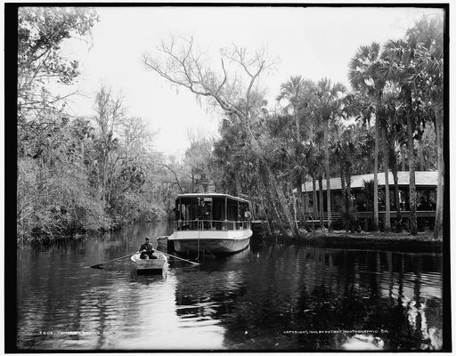 Tomoka landing, Fla.