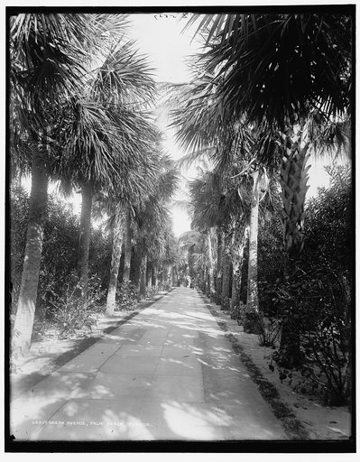 Ocean Ave., Palm Beach, Florida