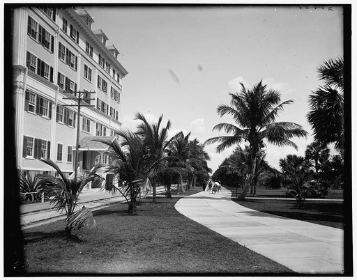 Bicycle Ave., Palm Beach, Florida