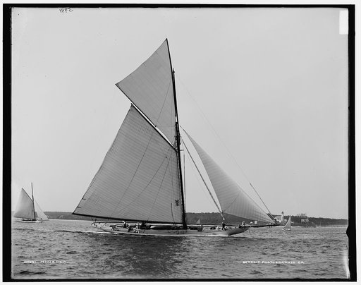 Mineola
