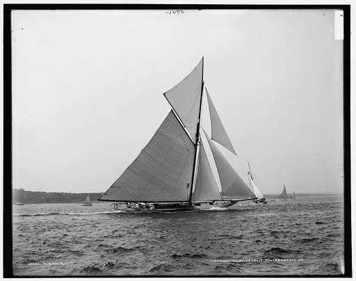 Mineola