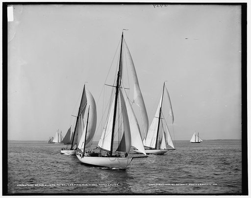 Start of the sloops, Petrel leading, Aug. 10, 1900, N.Y.Y.C. cruise