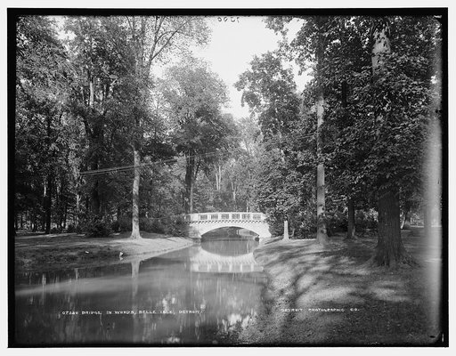 Bridge in woods, Belle Isle, Detroit