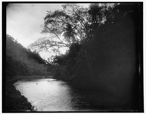 Rio Cobre near Spanish Town, Jamaica, W.I.