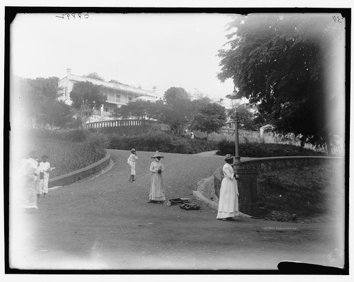 Terraced street, St. Thomas, W.I.