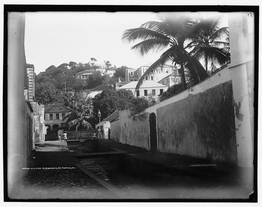 Hillside residences, St. Thomas, W.I.