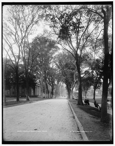 Temple Street, New Haven
