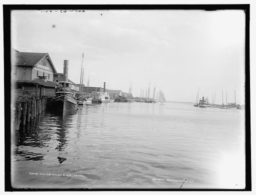 Hillsborough River, Tampa