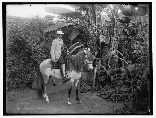 Venezuelan horseman