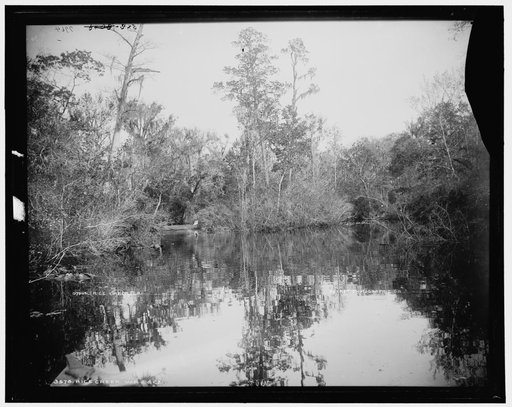 Rice Creek
