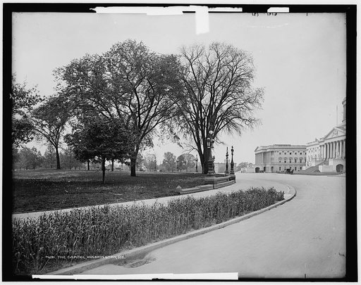 The Capitol, Washington, D.C.