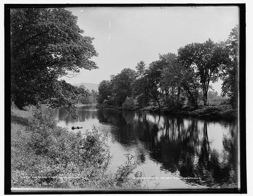 Chenango River near Greene, N.Y.