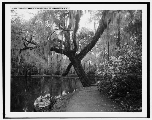 The Lake, Magnolia-on-the-Ashley, Charleston, S.C.