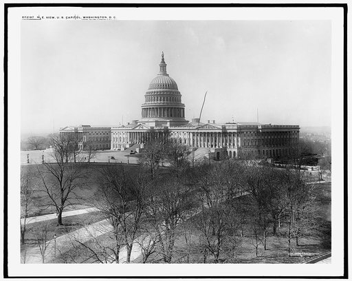 N[orth] e[ast] view, U.S. Capitol, Washington, D.C.