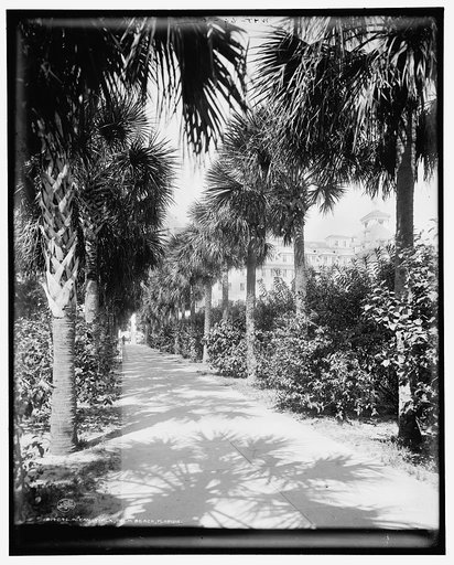 Ocean walk, Palm Beach, Florida