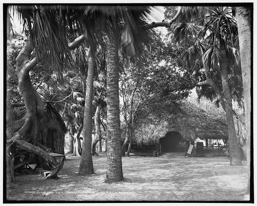 Alligator Joe's bungalow in the jungle, Palm Beach, Fla.