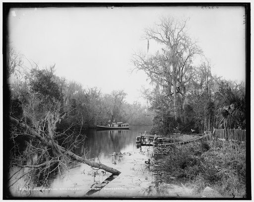 Brown's [landing], Rice Creek