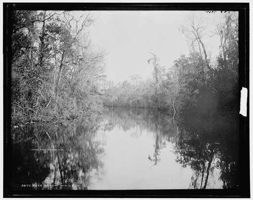 Rice Creek