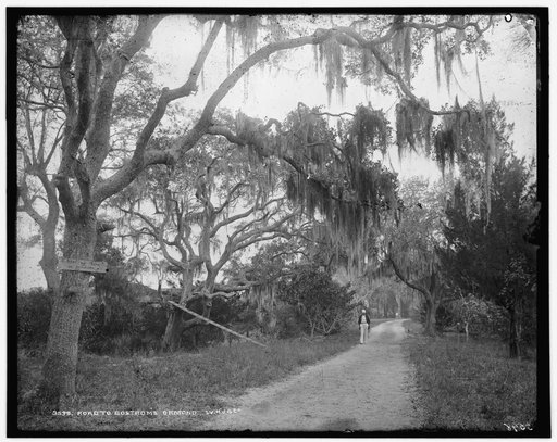 Road to Bostrom's, Ormond