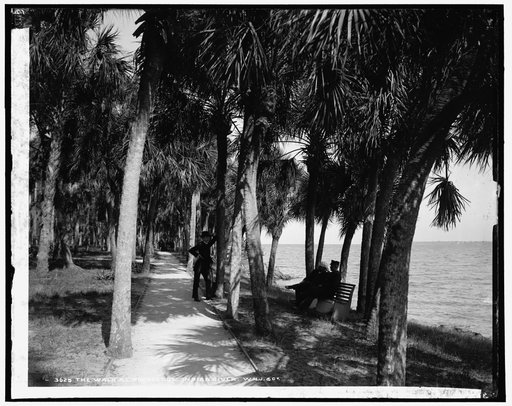 The walk at Rockledge, Indian River