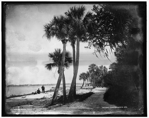Indian River at Cocoa, Fla.