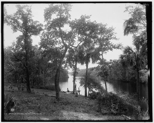 Misenor's Ldg. on the Tomoka