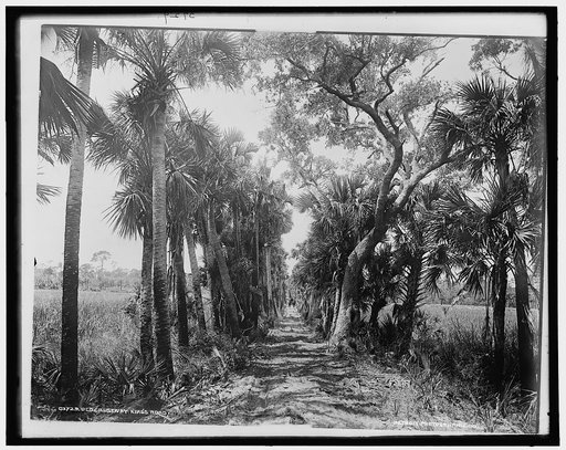 Old Causeway, near Ormond, Fla.