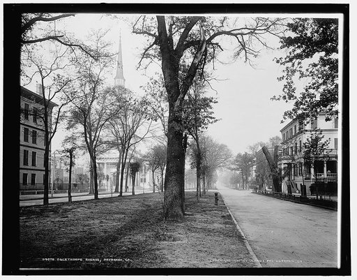 Oglethorpe Avenue, Savannah, Ga.