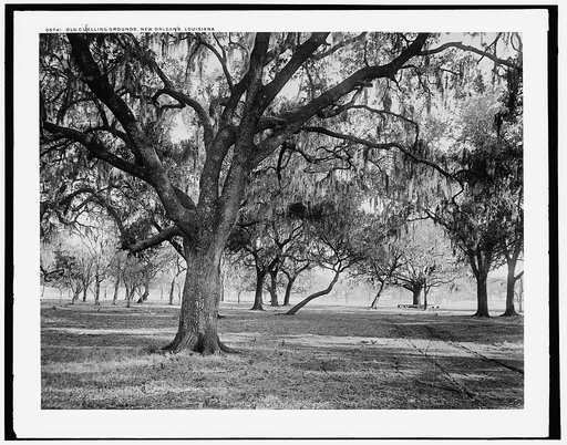 Old duelling grounds, New Orleans, Louisiana