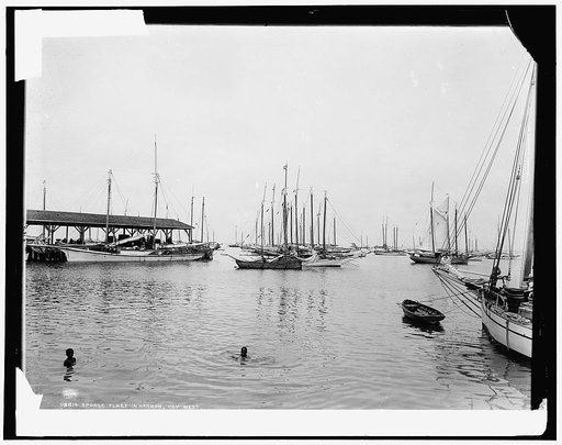 Sponge fleet in harbor, Key West, Fla.