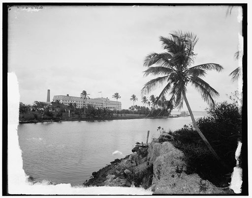 Royal Palm Hotel from Miami River